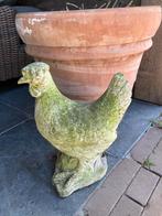 Stenen kip ( groen van buiten te staan ), Tuin en Terras, Tuinbeelden, Ophalen, Gebruikt, Dierenbeeld