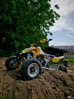 suzuki ltr 450, Motoren