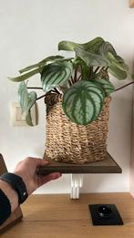 Wand decoratie ( om iets op de plaatsen), Ophalen of Verzenden, Zo goed als nieuw