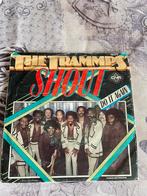 The trammps - shout / do it again, Cd's en Dvd's, Ophalen of Verzenden