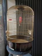 Vogelkooi, Ophalen, Vogelkooi