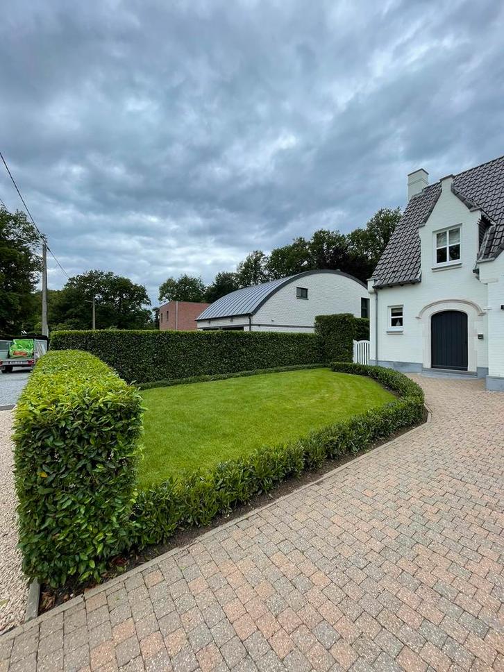 Tuinman/Tuinonderhoud, Diensten en Vakmensen, Tuinmannen en Stratenmakers