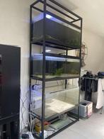 Aquarium rek, Dieren en Toebehoren