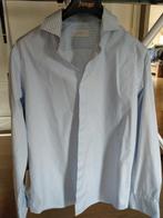 Hemd Massimo Dutti blauw en wit gestreept / Chemise homme b, Nieuw, Blauw, Ophalen of Verzenden