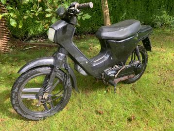 Honda wallaroo 50 cc disponible aux enchères