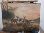 Schilderij herten, jacht , wild ,natuur, Antiek en Kunst, Kunst | Schilderijen | Klassiek, Ophalen