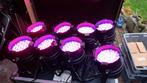 8 led par 64 uplighters adj + Flightcase, Ophalen of Verzenden, Zo goed als nieuw, Kleur