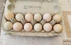 Verse eieren van eenden met vrije uitloop, Divers, Produits alimentaires, Enlèvement