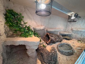 Luxe 3-delige terrariumkast met reliëfwanden, Animaux & Accessoires, Enlèvement, Utilisé, Terrarium ou Paludarium