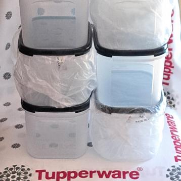 Tupperware ruimtespaarders rechthoekig 850 ml en 1,9 L Nieuw beschikbaar voor biedingen