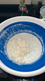 Melkkefir, Ophalen