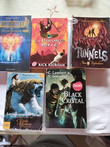 Fantasieboeken voor jongeren  beschikbaar voor biedingen