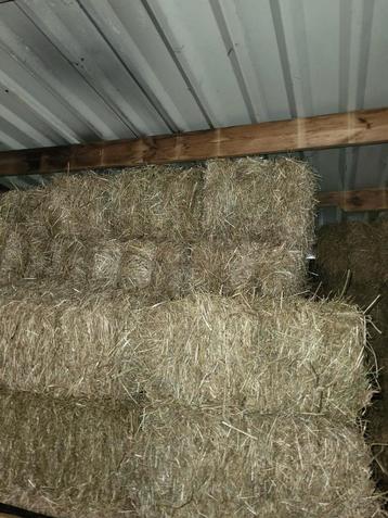 1 jaar oud hooi voor suikergevoelige paarden of voor in stal beschikbaar voor biedingen