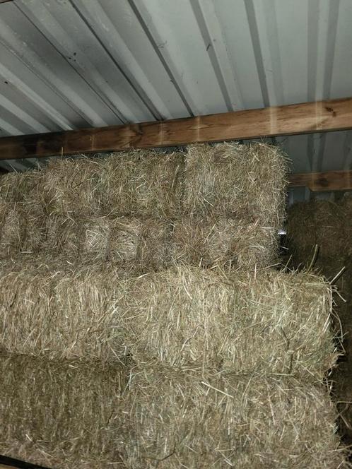 1 jaar oud hooi voor suikergevoelige paarden of voor in stal, Dieren en Toebehoren, Dierenvoeding, Ophalen