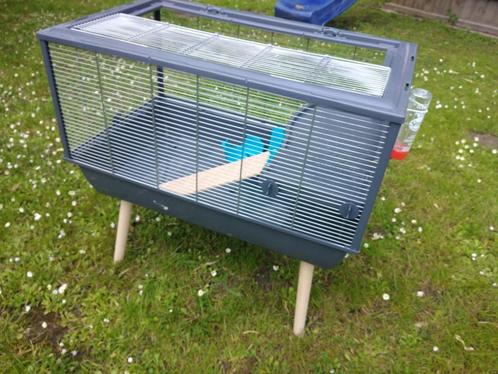 Cage pour hamsters Neolife 80 pour rongeurs, Animaux & Accessoires, Rongeurs & Lapins | Cages & Clapiers, Comme neuf, Cage, 60 à 90 cm