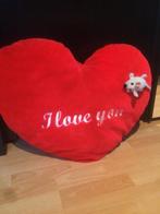 kussen groot, Enlèvement, Comme neuf