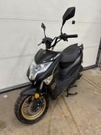 Dis à Enzo de participer à un cours, Enlèvement, Comme neuf