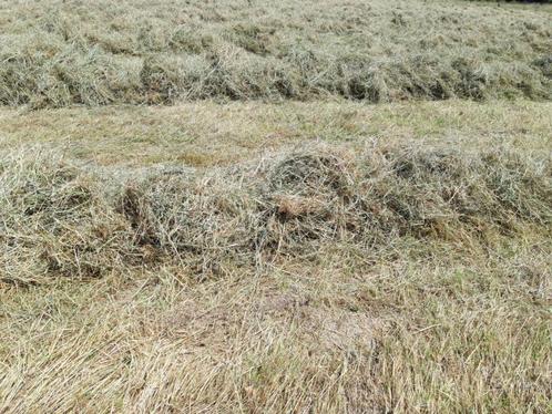 hebt u hulp nodig bij hooiwerkzaamheden?, Zakelijke goederen, Landbouw | Werktuigen, Veehouderij, Overige, Ophalen of Verzenden