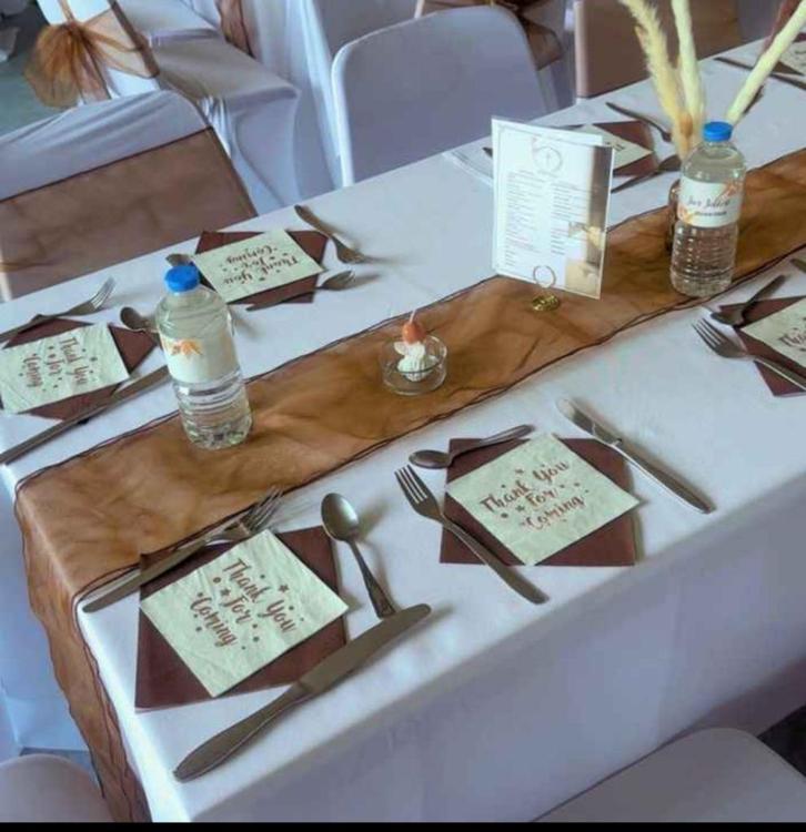 Housse blanche pour chaise + chemin de table + nœuds de chai, Hobby & Loisirs créatifs, Articles de fête, Neuf, Décoration, Enlèvement