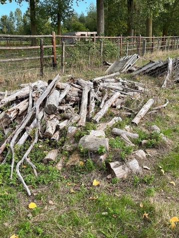  Gratis brandhout beschikbaar voor biedingen