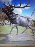 PRACHTIG LEVENSGROOT BRONS, DE BALG VAN HET HERT, Ophalen, Brons