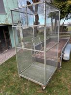 Duiven ren, Dieren en Toebehoren, Ophalen, Gebruikt, Volière