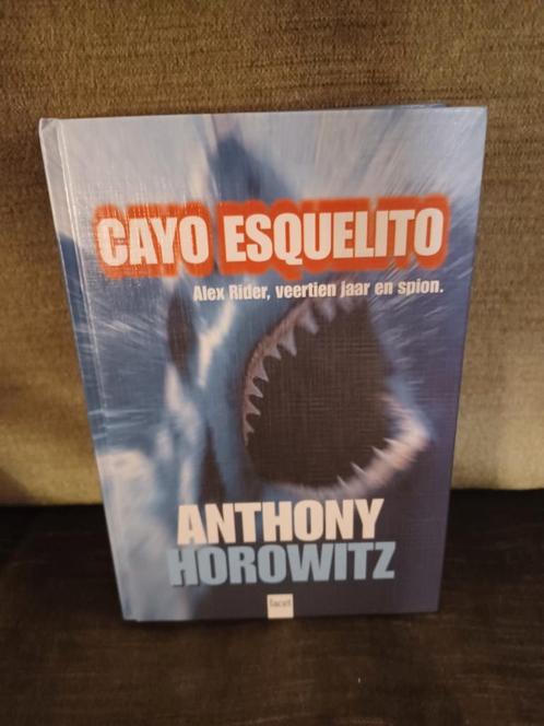 Cayo esquelito     (Anthony Horowitz), Livres, Livres pour enfants | Jeunesse | 13 ans et plus, Comme neuf, Fiction, Enlèvement ou Envoi