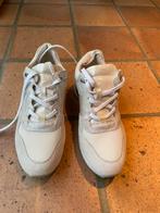 Chaussures baskets Geox taille 38, Enlèvement, Neuf, Chaussures