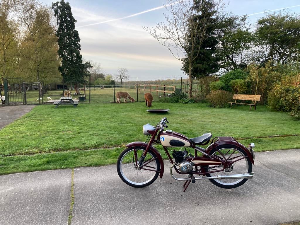 Sachs Sachsfil, Vélos & Vélomoteurs, Cyclomoteurs | Oldtimers & Ancêtres, Enlèvement