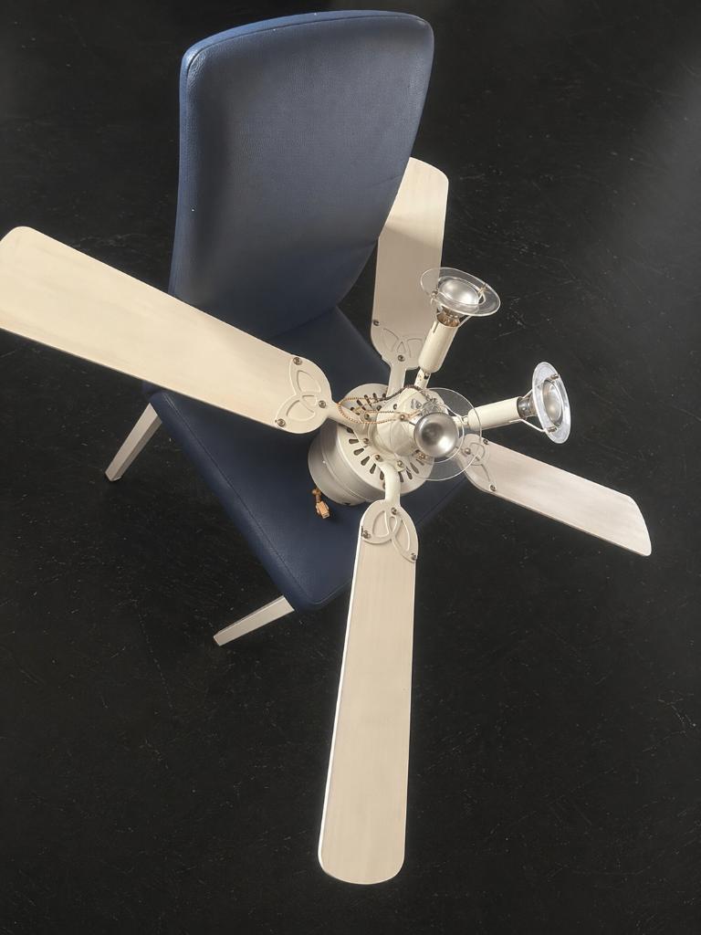 Ventilateur, Electroménager, Ventilateurs, Enlèvement, Utilisé, Ventilateur de plafond