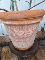 Terracotta pot met vijgenboompje, Tuin en Terras, Ophalen of Verzenden