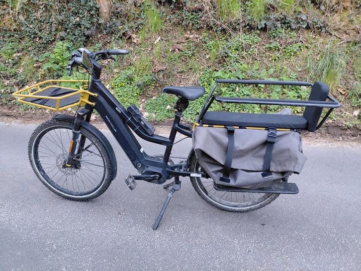 Spedelec Multicharger Mixte GT Rohloff HS, Vélos & Vélomoteurs, Vélos électriques, Comme neuf, Riese & Müller, 47 à 51 cm, 50 km par batterie ou plus