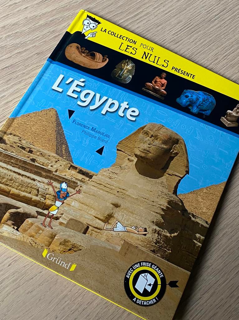 L’Egypte - livre la collection pour les nuls, Livres, Enlèvement, Comme neuf