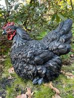 Beeld kip, tuin, vijver, gazon, boerderij 40cm, Ophalen, Nieuw, Kunststof, Dierenbeeld