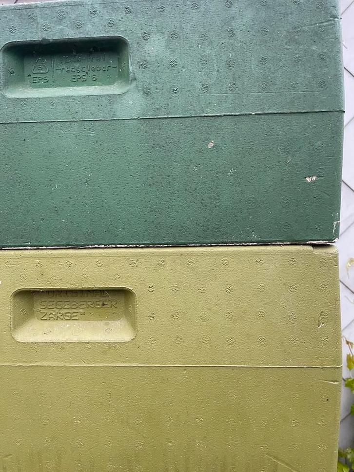 Segeberger DN 1/1 kasten gebruikt, Dieren en Toebehoren, Insecten en Spinnen, Bijen