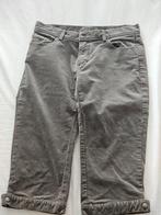 Taupe Kniebroek (driekwart) van Blanc Bleu, Trois-quarts, Taille 38/40 (M), Enlèvement ou Envoi, Autres couleurs
