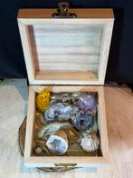 Boîte minérale avec géodes et rose du désert, Enlèvement ou Envoi, Minéral