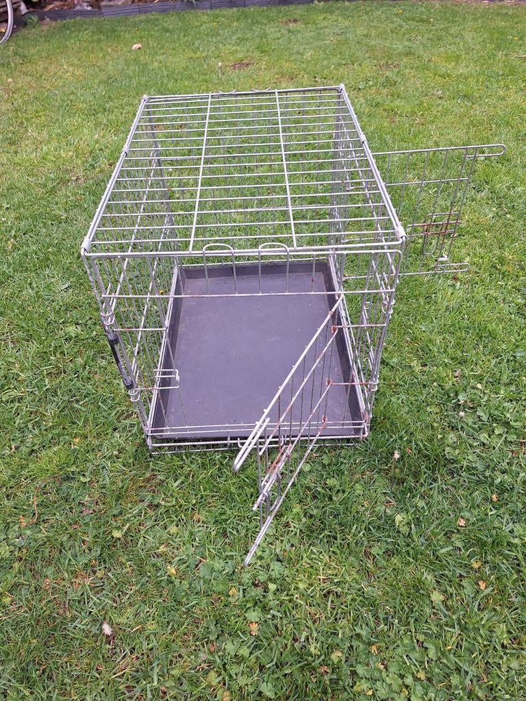 Bench , kat of hond, Dieren en Toebehoren, Ophalen