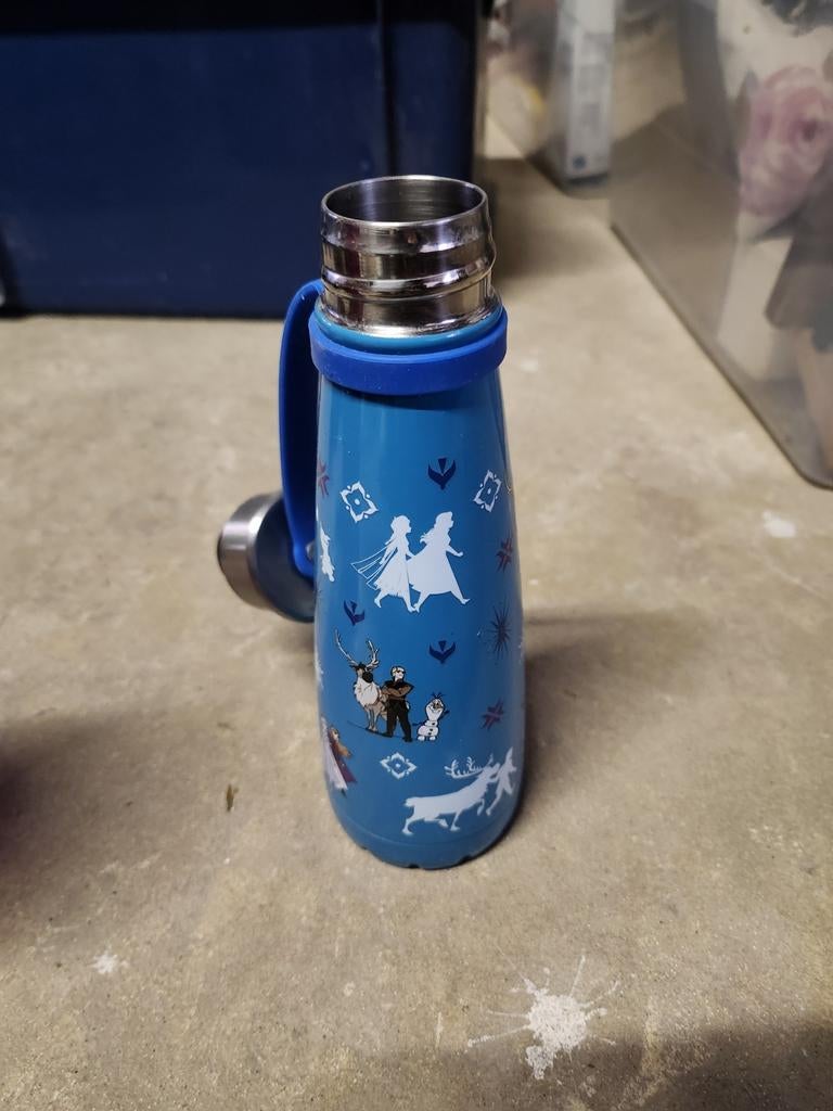 Gourde la reine des neiges