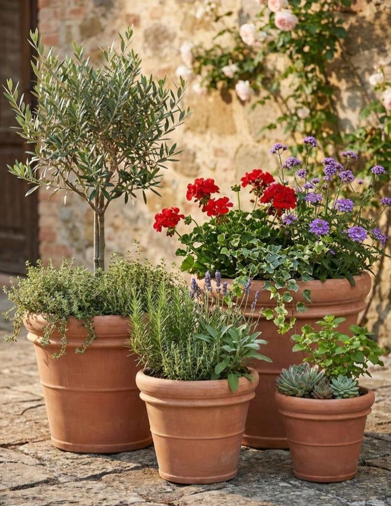 Grands pots de fleurs en terre cuite, Jardin & Terrasse, 40 cm ou plus, 40 à 70 cm, Rond, Enlèvement