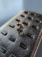 Bague en Argent, Enlèvement ou Envoi, Argent, Argent