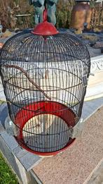Cage pour oiseaux canaris, Enlèvement, Utilisé, Métal, Cage à oiseaux