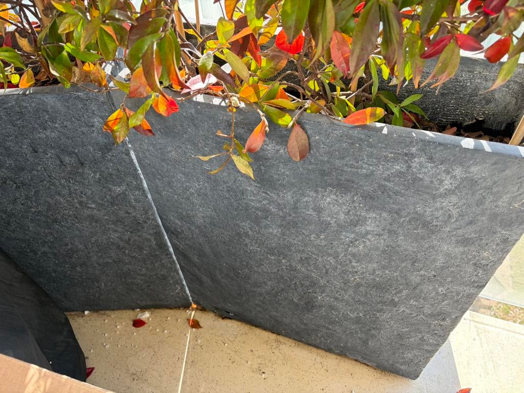 Collection gratuite de bacs à fleurs avec des plantes jasmin, Jardin & Terrasse, Bacs à fleurs & Jardinières, Synthétique, Enlèvement