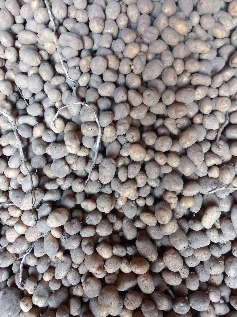 Stro en aardappelen te koop, Ophalen