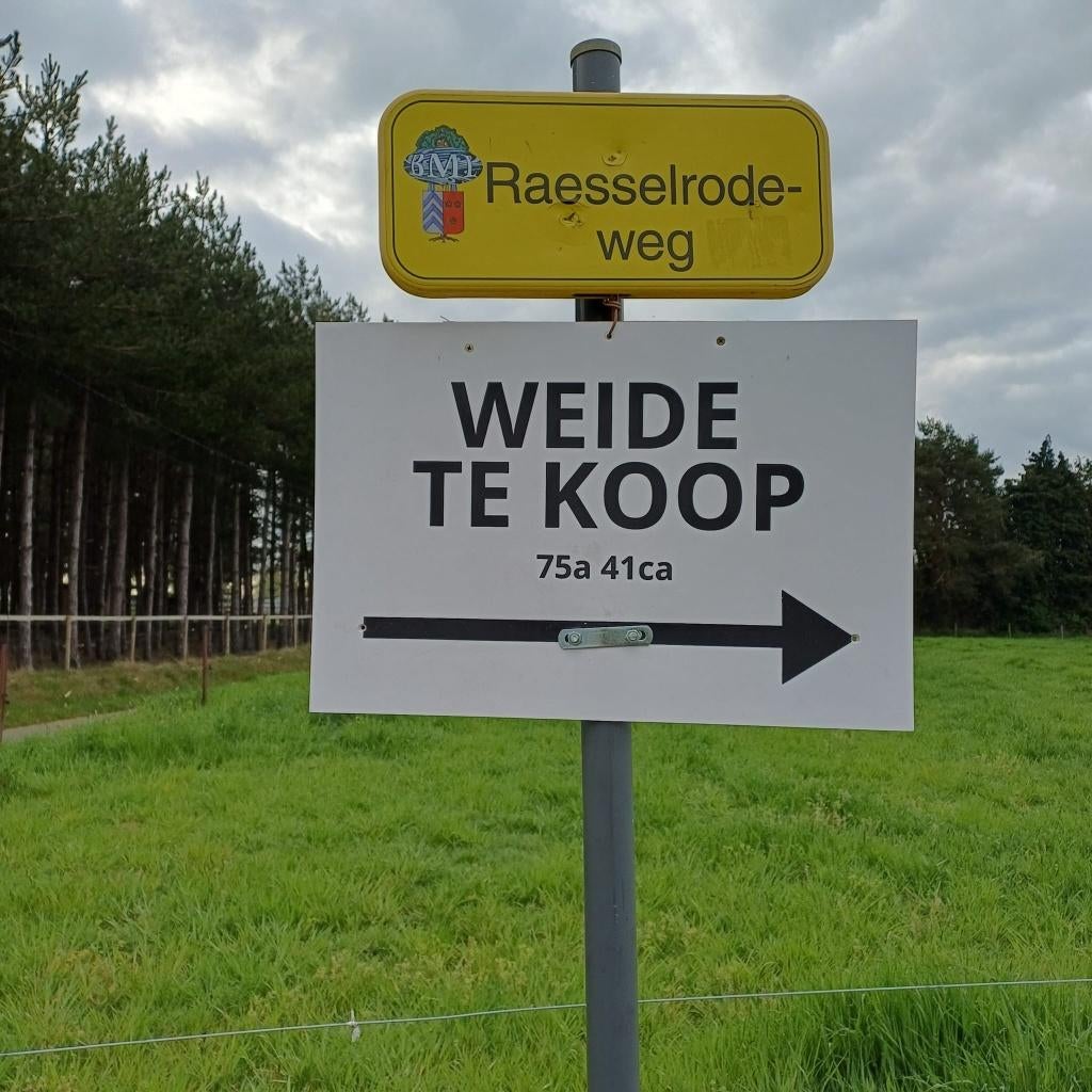 WEIDE  te koop in Zichem, Immo, Zichem-Scherpenheuvel, Ventes sans courtier, 1500 m² ou plus