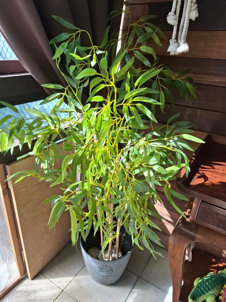 2 kunst planten, Ophalen