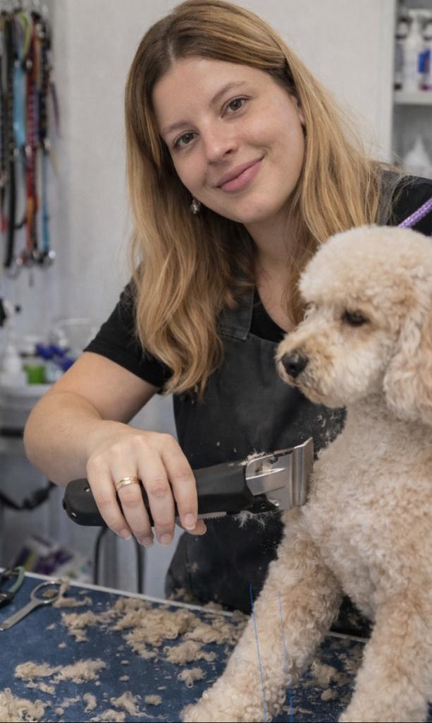 Trimbehandeling, Animaux & Accessoires, Laisses pour chiens, Neuf, Enlèvement ou Envoi