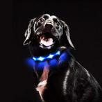 Collier pour Chien Lumineux Rechargeable et Etanche,, Animaux & Accessoires, Accessoires pour chiens, Envoi, Neuf