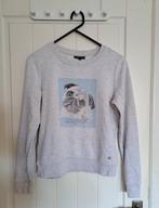 Leuke sweater met hondje maat S, Vêtements | Femmes, Pulls & Gilets, Gris, Enlèvement ou Envoi, Porté, JBC