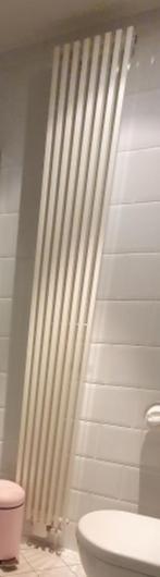 Radiator, Doe-het-zelf en Bouw, Verwarming en Radiatoren, Ophalen, Gebruikt, Radiator, Minder dan 60 cm